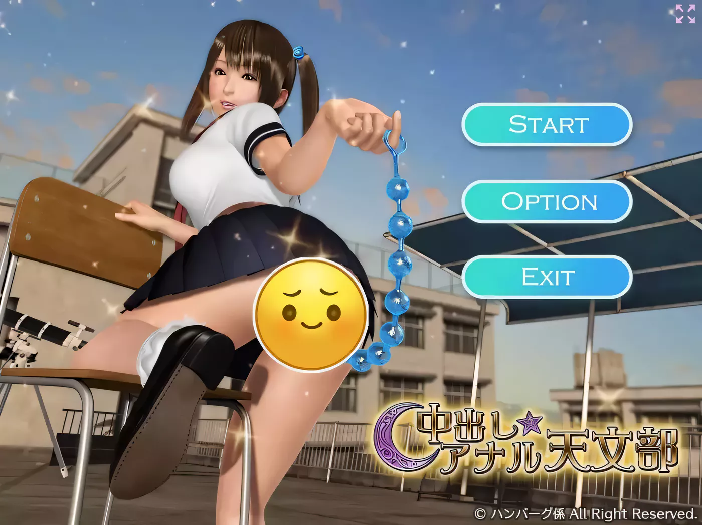 【3D互动/汉化/全动态语音】 整天中出的下流天文部！ DL正式版+提取动画汉化版【2.7G】-乐游二次元