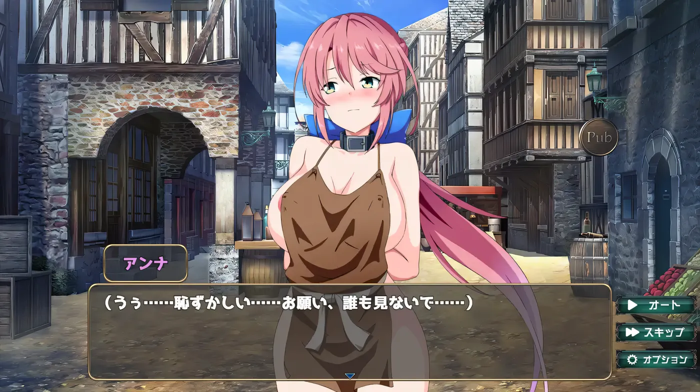 图片[3]-k171 骑士安娜 -奴隶教育记录- 挂载AI汉化版+全回想存档 [新作/494.5M]-乐游二次元