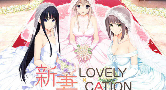 【大型ADV/汉化/动态】新妻LOVELY×CATION 1+2 精修完整汉化版+全CG【PC+安卓/全CV/12G】-乐游二次元