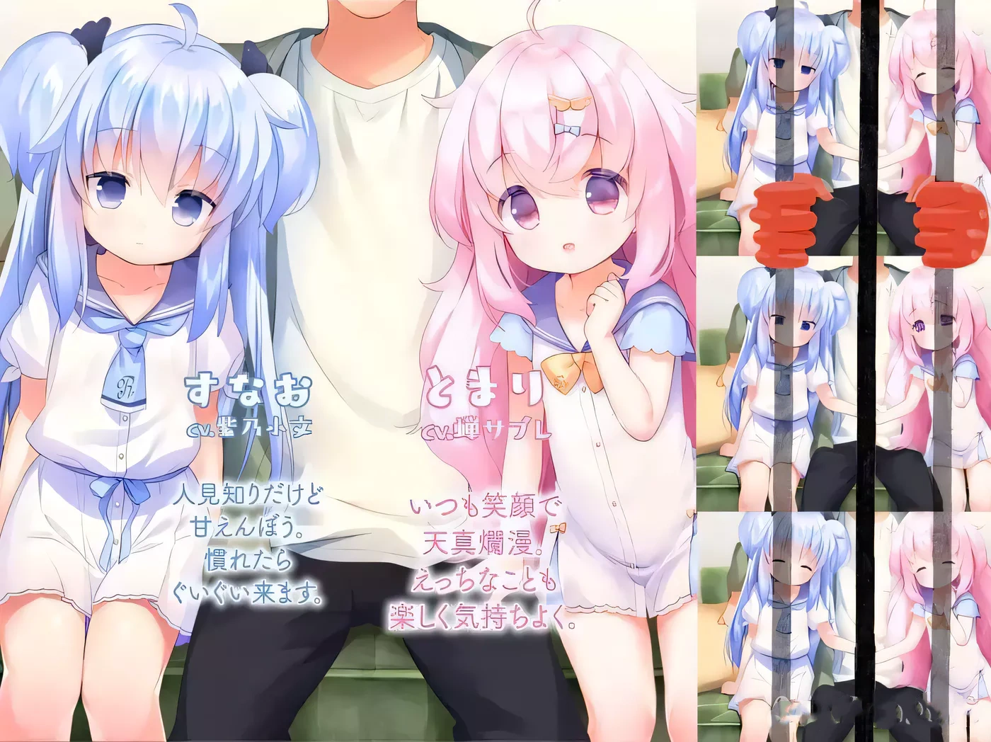 【ADV/汉化/全程CV】双子洛丽塔后宫 冷狐汉化版【PC+安卓/800M/萝莉控】-乐游二次元