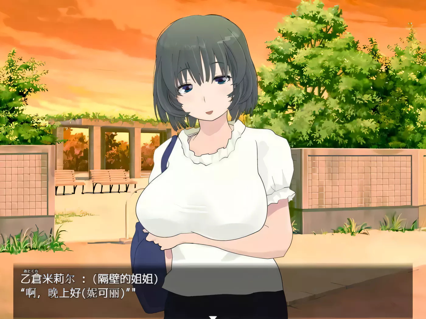 【高自由度RPG/汉化/全动态】寝取小镇的超H传阅板!开门即H!汉化作弊版【900M/全CV】-乐游二次元