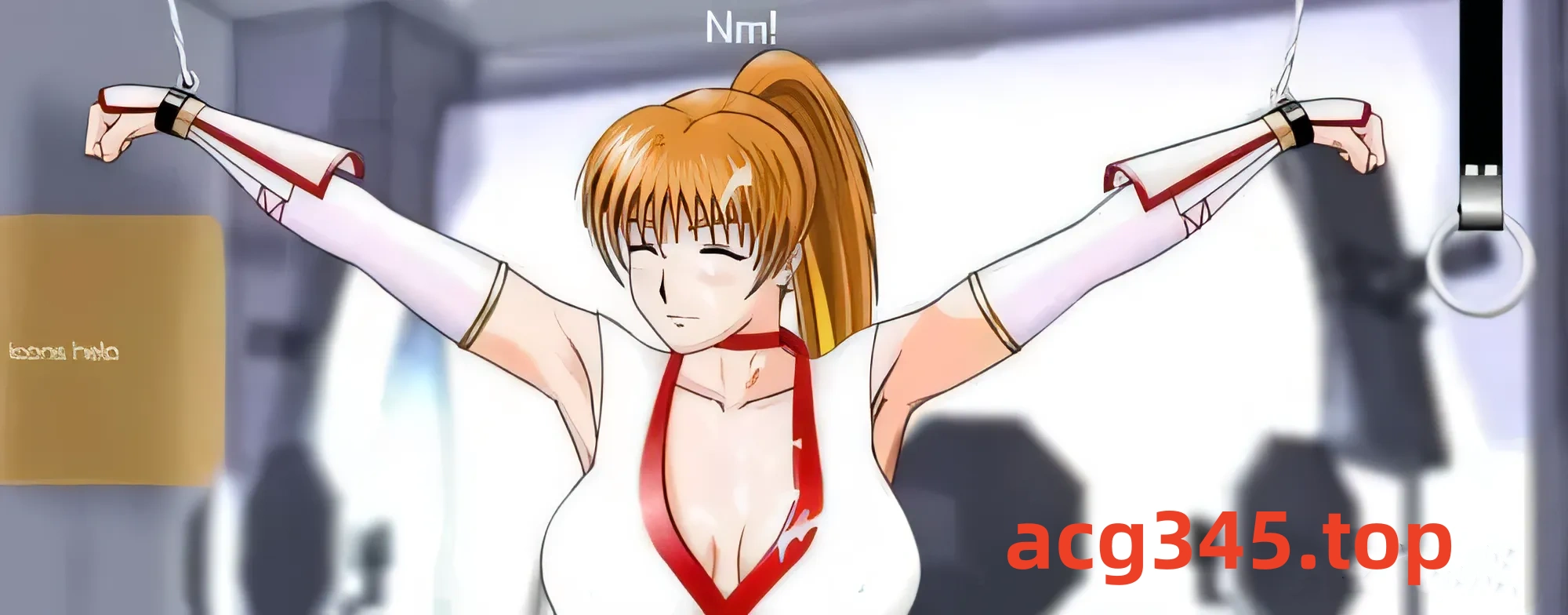 【互动SLG/全动态】调教女忍者新作[触调教！SV!]+[霞的重生]V3.30完结版【300M/Flash游戏】-乐游二次元