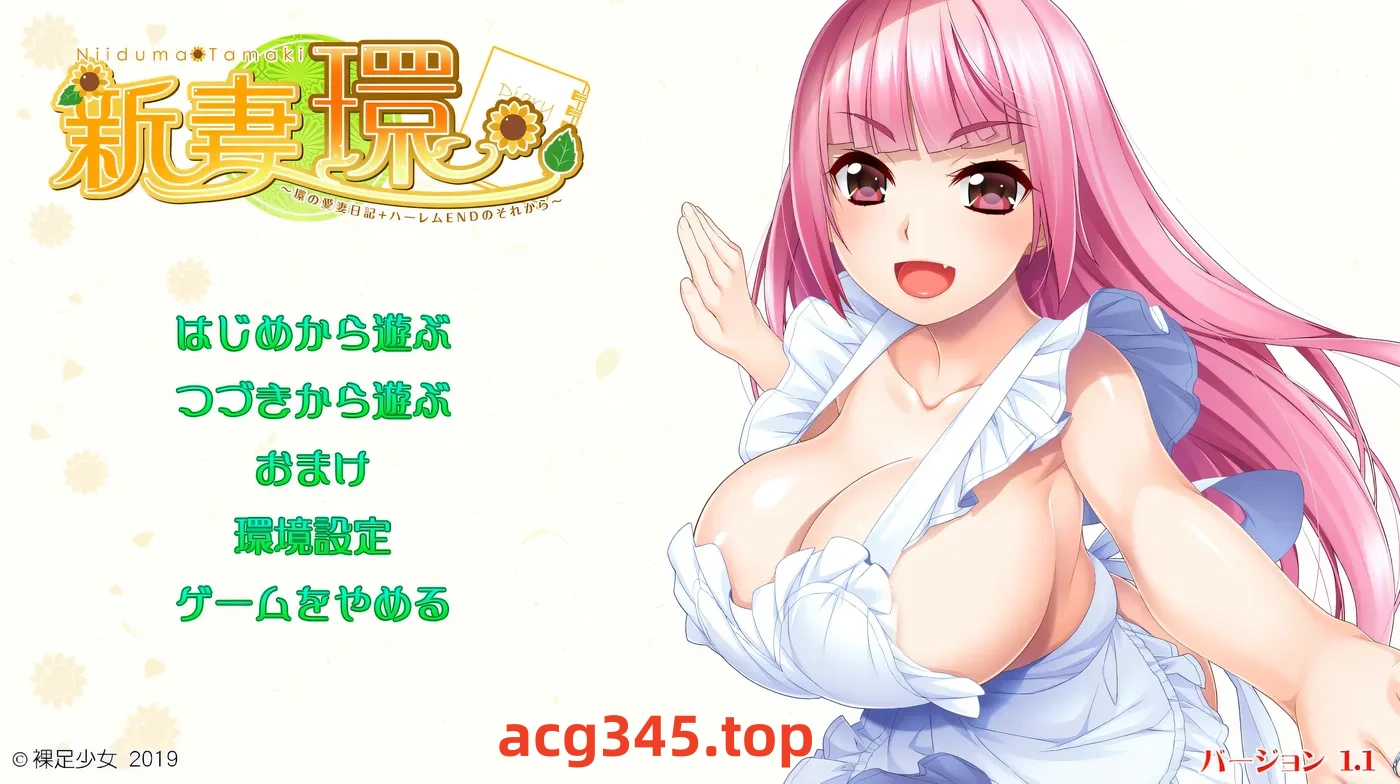 w531  新妻环 环的爱妻日记 + 后来的后宫结局Ver1.1 AI汉化版+全CG存档 [新作/2.2G]-乐游二次元