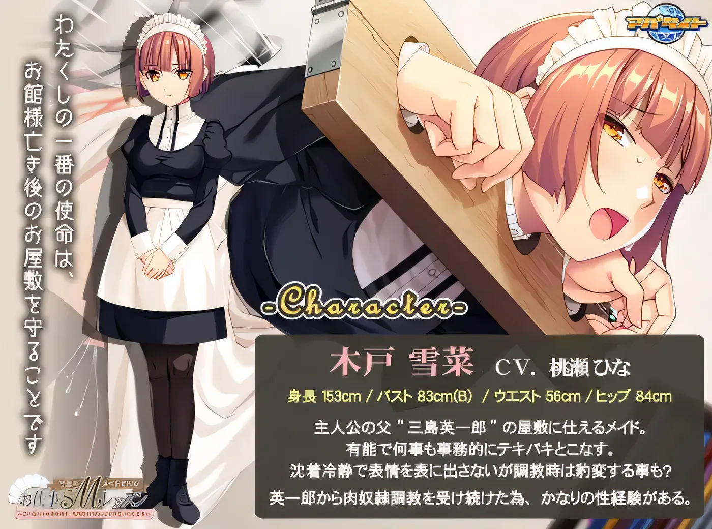 图片[2]-w1353  可爱的 M 女仆的工作 SM 课程 ～将传承给家族的秘诀，代替前代为您传授～ 云翻汉化版 [新作/394.3M]-乐游二次元