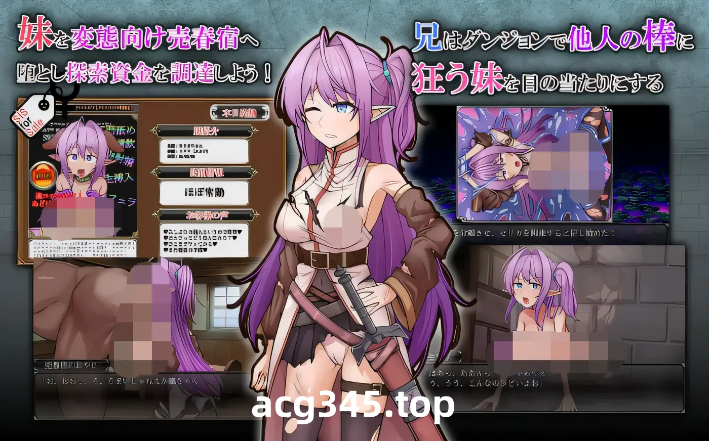 w1966  网络出轨发Q精灵妹妹剑士塞莉卡 挂载AI汉化版+存档 [更新/751.7M]-ACG游戏网