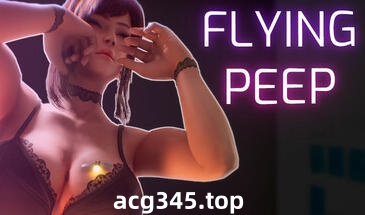 w2353 飞行偷看 Flying Peep  Steam 官方中文-ACG游戏网