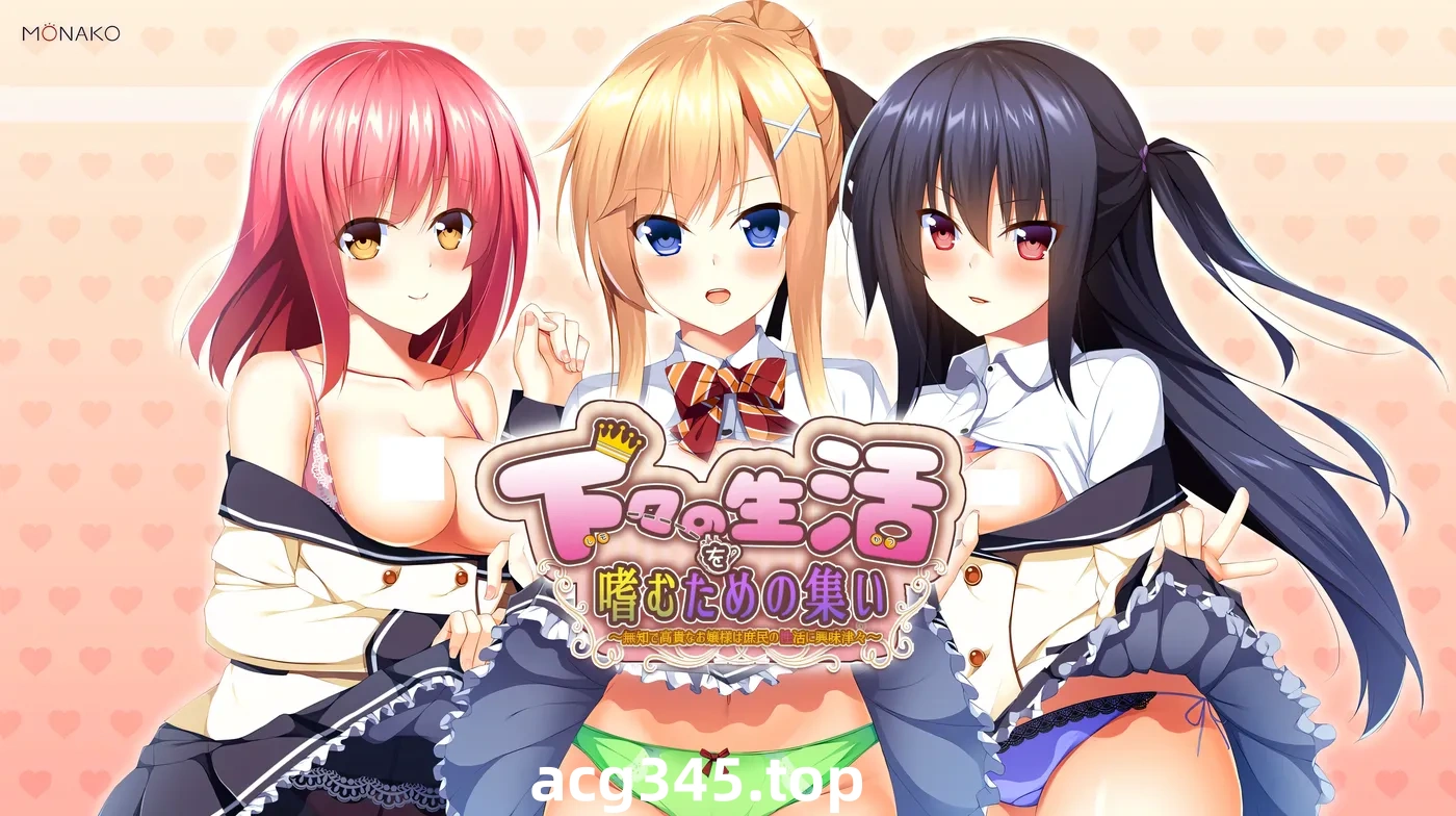 T1005  享受平民生活的聚会 ～无知而高贵的大小姐对平民的性生活充满兴趣～ AI汉化版+全CG存档 [更新/2.8G]-乐游二次元