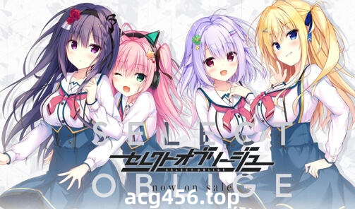 w2328 承命抉择 Oblige 精翻汉化-ACG游戏网