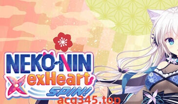 w2009 猫忍之心 SPIN! NEKO NIN exHeart SPIN  Steam 官方中文-ACG游戏网