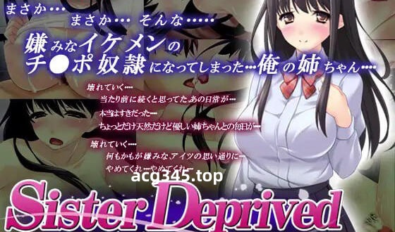 w2070 被剥夺的姐姐/Sister Deprived AI汉化  全CG存档-ACG游戏网