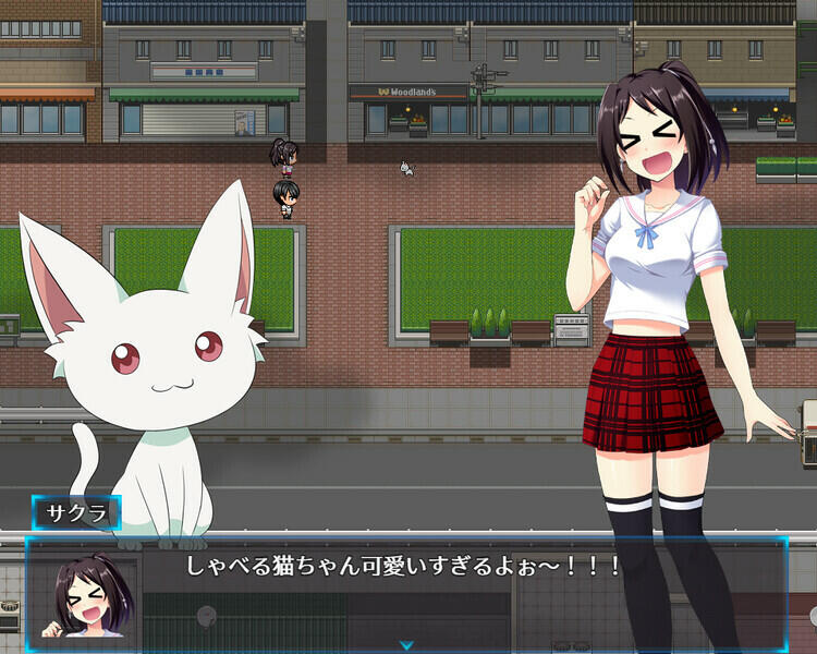 图片[5]-w2175 光樱闪姫普利塞 +DLC  Steam官方中文-乐游二次元