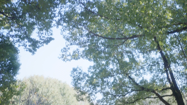 图片[5]-w2150 女神保卫战 Steam官方中文 真人SLG  71G-乐游二次元