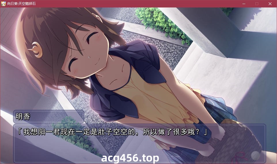 x5020 向日葵：天空鹅卵石   汉化版 [2.8G]-乐游二次元