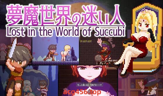 x2256 魅魔世界的迷途人V1.01 DL官方中文 [新作/1.2G][PC+安卓]-乐游二次元