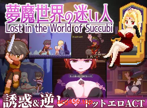 x2331梦魔世界的迷失者 V1.0 (夢魔世界の迷い人) DL官方中文[新作/370M]-乐游二次元