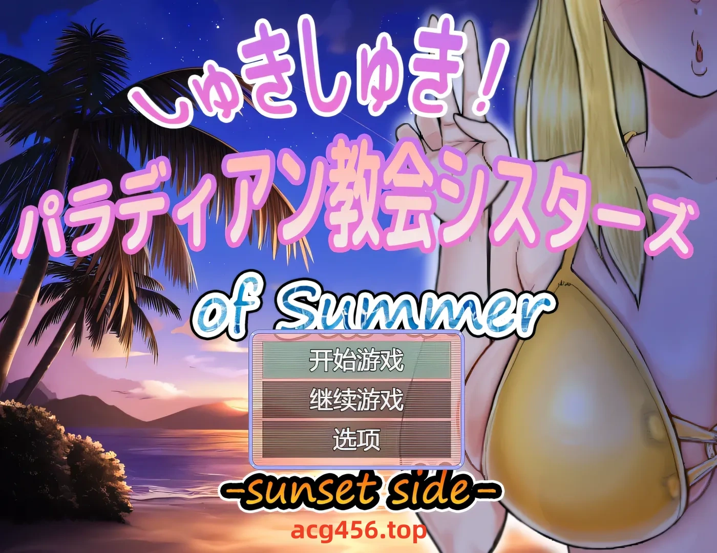 x2596 超喜欢！帕拉迪安教会的修女们 挂载AI汉化版+存档 [新作/530M]-乐游二次元