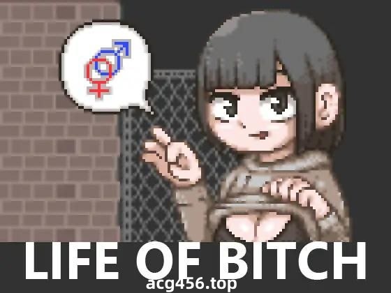 x2226 婊子的生活 V1.0  LIFE OF BITCH  机翻汉化[更新/400M]-乐游二次元