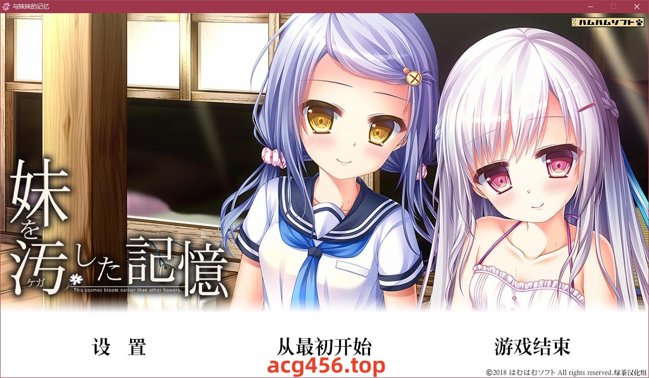 t5002 与妹妹的记忆 汉化版 [2G]-乐游二次元