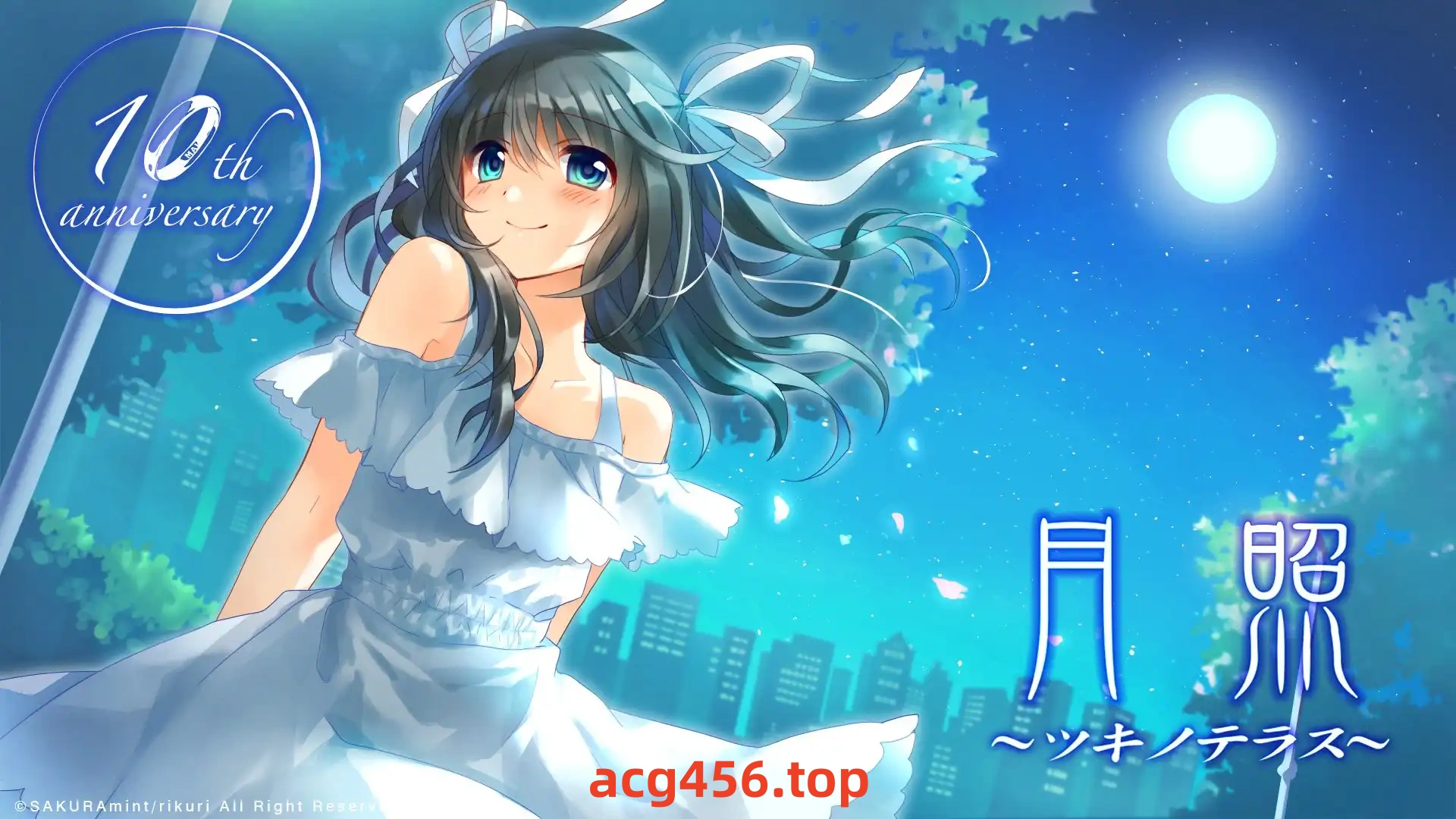 x8013另一个我 V1.02 汉化免安装版[新作/100M]-乐游二次元