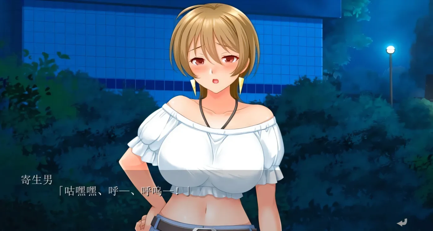 图片[4]-t2537 寄生男～在人妻家中寝取姐妹花 AI汉化+存档+特典 [新作/1.4G]-乐游二次元