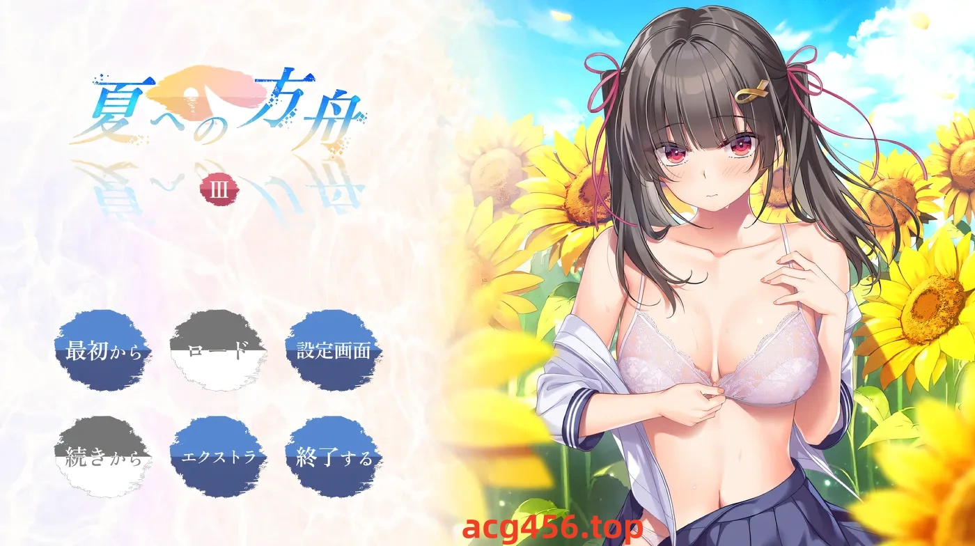 t2056夏之方舟3 AI汉化版+全CG存档 [新作/1.3G]-乐游二次元