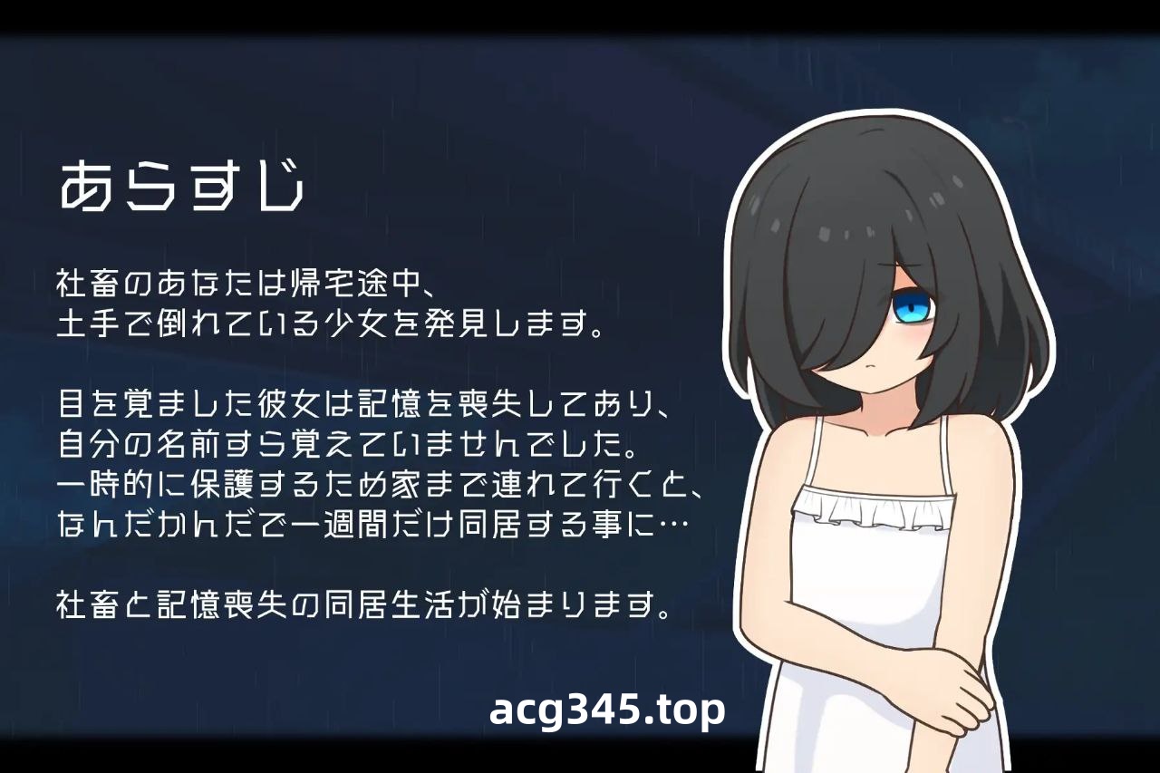 t3072失忆少女 Little sister 汉化版[新作/500M][PC+安卓]-乐游二次元