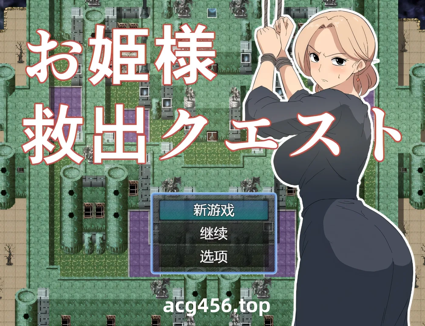 t2877 公主营救大作战！AI汉化版+存档 [新作/350M]-乐游二次元