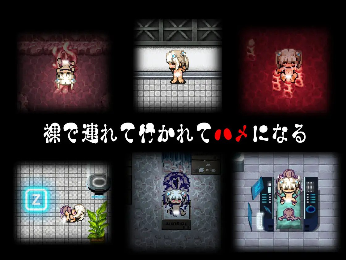 图片[4]-x15185斯特拉的漂流日记 V1.0正式版 AI汉化[新作/1.2G]-乐游二次元