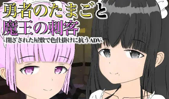 x40091勇者之卵与魔王的刺客 V1.12 AI汉化[更新/500M]-乐游二次元