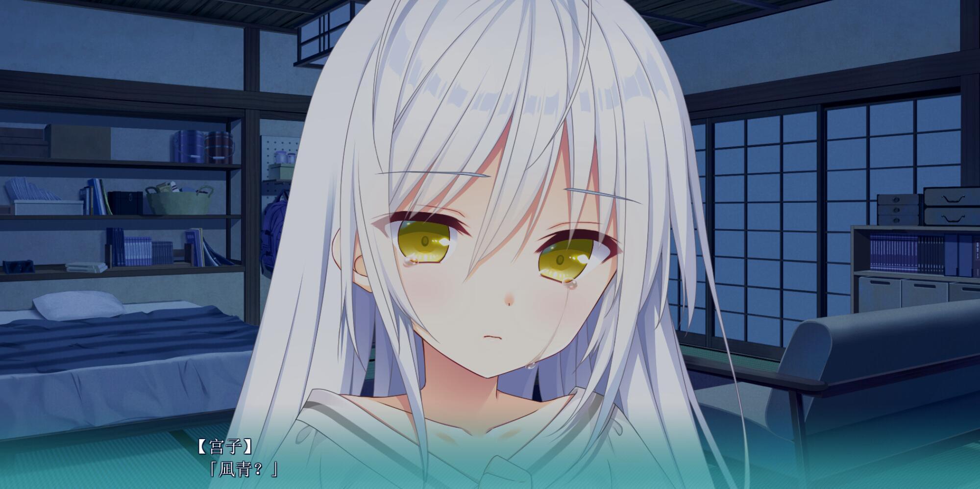 图片[12]-x20284恋爱成双 STEAM官中[新作/3.6G]-乐游二次元