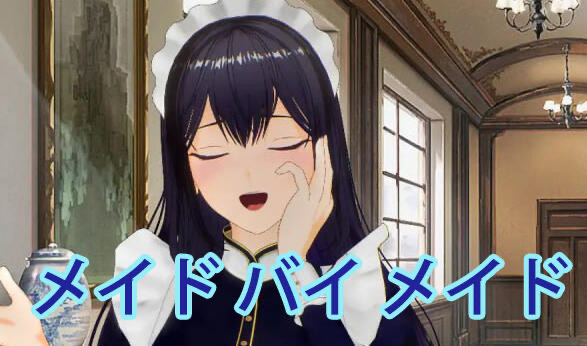 x20470女仆制作[新作/800M]生肉-乐游二次元
