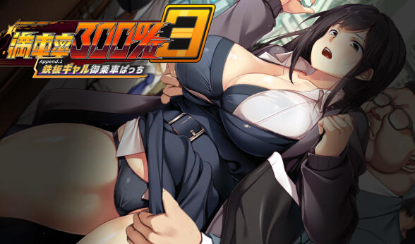 b20564满车率300% 3 V25.3.34  DL官中[更新/14.2G]-乐游二次元